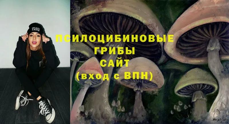 Псилоцибиновые грибы Psilocybine cubensis Наволоки